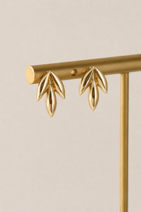 Golden Harmony Jewelry Collection
